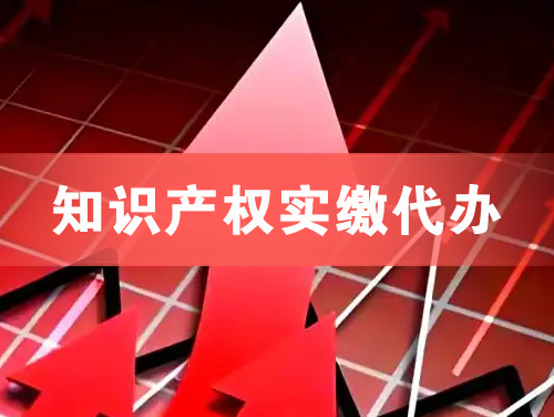 招远知识产权实缴资本代办